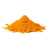 Curcuma en poudre 100g