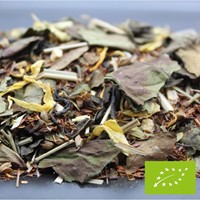 Tulsi mangue gingembre bio 50g 1